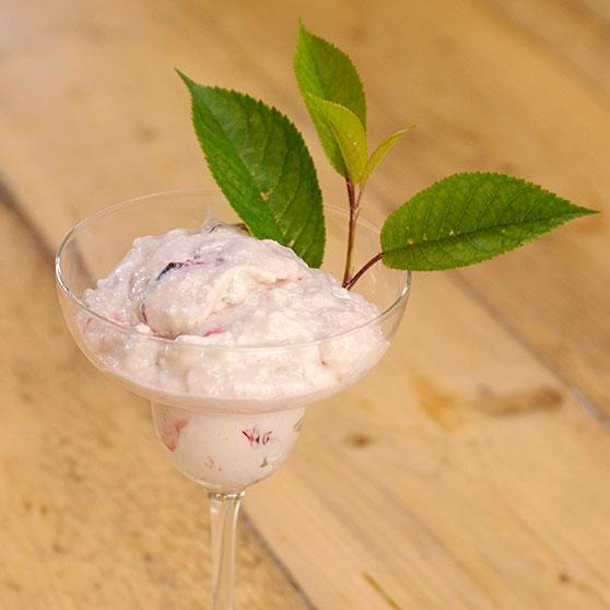 Kirsikkasemifreddo