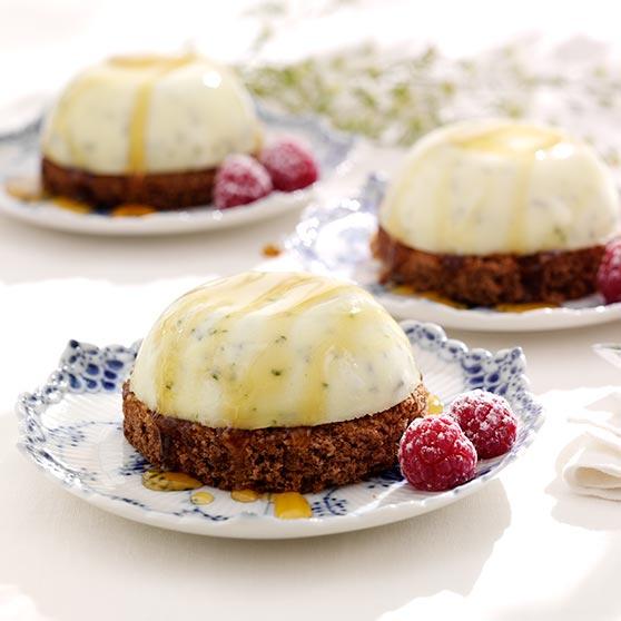 Basil panna cotta on a chocolate cake base